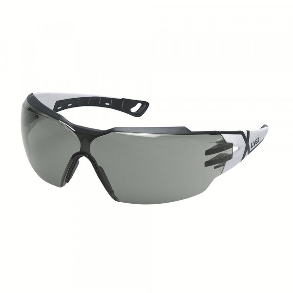 UVEX® Schutzbrille pheos cx2